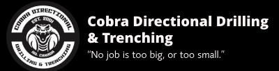 Cobra Directional Drill_Gold